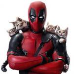 Deadpool With Kittens