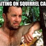 Cast Away | WAITING ON SQUIRREL CAMP | image tagged in cast away | made w/ Imgflip meme maker