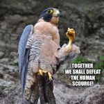 Justice Falcon | FLY WITH ME BROTHERS, TOGETHER WE SHALL DEFEAT THE HUMAN SCOURGE! | image tagged in justice falcon | made w/ Imgflip meme maker