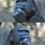 Thinking Gorilla On the One Hand