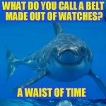 Bad Shark Pun  | WHAT DO YOU CALL A BELT MADE OUT OF WATCHES? A WAIST OF TIME | image tagged in bad shark pun,watch,waist of time,funny memes,jokes,laughs | made w/ Imgflip meme maker