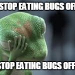 Grillin' with Geico | MUST STOP EATING BUGS OFF CARS; MUST STOP EATING BUGS OFF CARS... | image tagged in geico gecko,grill,bugs,gecko,eating | made w/ Imgflip meme maker