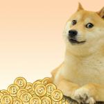 Doge Coin meme