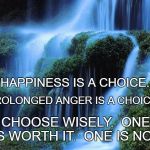 Happiness | HAPPINESS IS A CHOICE. PROLONGED ANGER IS A CHOICE. CHOOSE WISELY.  ONE IS WORTH IT.  ONE IS NOT. | image tagged in waterfall | made w/ Imgflip meme maker