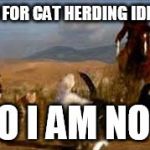 Herding cats  | AM I FOR CAT HERDING IDIOTS; NO I AM NOT | image tagged in herding cats | made w/ Imgflip meme maker