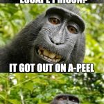 bad pun monkey | HOW DID THE BANANA ESCAPE PRISON? IT GOT OUT ON A-PEEL | image tagged in bad pun monkey,funny memes | made w/ Imgflip meme maker