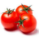 tomatoes