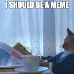 How a meme was born | I SHOULD BE A MEME | image tagged in i should buy cat | made w/ Imgflip meme maker