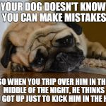 poor dogs | YOUR DOG DOESN'T KNOW YOU CAN MAKE MISTAKES; SO WHEN YOU TRIP OVER HIM IN THE MIDDLE OF THE NIGHT, HE THINKS YOU GOT UP JUST TO KICK HIM IN THE HEAD | image tagged in sad dog | made w/ Imgflip meme maker