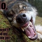 Coffee Wolf | No, I haven't had my coffee yet | image tagged in coffee wolf | made w/ Imgflip meme maker