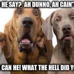 HuhDogs | WHA'D HE SAY?  AH DUNNO, AH CAIN'T SPEL! NEITHER CAN HE! WHAT THE HELL DID YOU SAY? | image tagged in huhdogs | made w/ Imgflip meme maker