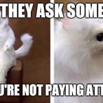 White monkey | WHEN THEY ASK SOMETHING; BUT YOU'RE NOT PAYING ATTENTION | image tagged in white monkey | made w/ Imgflip meme maker