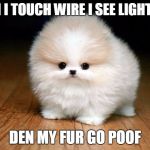 Derp Doge | WHEN I TOUCH WIRE I SEE LIGHTNING. DEN MY FUR GO POOF | image tagged in derp doge | made w/ Imgflip meme maker