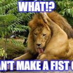 Licking lions | WHAT!? I CAN'T MAKE A FIST OK? | image tagged in licking lions,lion | made w/ Imgflip meme maker