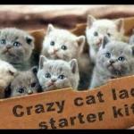 Crazy Cat Lady Starter Kit meme