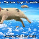 When Pigs Fly | Hurry - We have to get to Washington! America needs our help! | image tagged in when pigs fly | made w/ Imgflip meme maker