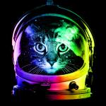 cat astronaut meme