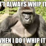 Whip it | I DON'T ALWAYS WHIP IT OUT; BUT WHEN I DO I WHIP IT GOOD | image tagged in harumbe | made w/ Imgflip meme maker