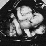 aborted babies in a garbage bag meme