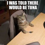 Unkept promises | I WAS TOLD THERE WOULD BE TUNA | image tagged in kitty fork,cat,food,great expectations | made w/ Imgflip meme maker