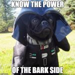 Darth Pug | KNOW THE POWER; OF THE BARK SIDE | image tagged in darth pug | made w/ Imgflip meme maker