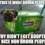 beer pug | SEE THIS IS WHAT DRUNK PEOPLE DO; WHY DIDN'T I GET ADOPTED BY NICE NON DRUNK PEOPLE? | image tagged in beer pug | made w/ Imgflip meme maker