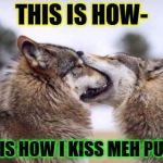 Moon Moon 2 | THIS IS HOW- THIS IS HOW I KISS MEH PUPPIE! | image tagged in moon moon 2 | made w/ Imgflip meme maker