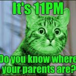 Where are they? | It's 11PM; Do you know where your parents are? | image tagged in raycat wtf,memes | made w/ Imgflip meme maker