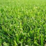 Greener grass