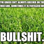 Greener grass | THE GRASS ISN'T ALWAYS GREENER ON THE OTHER SIDE.
SOMETIMES IT IS FERTILIZED WITH; BULLSHIT. | image tagged in greener grass | made w/ Imgflip meme maker