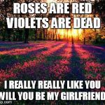 screw it | ROSES ARE RED VIOLETS ARE DEAD; I REALLY REALLY LIKE YOU 
WILL YOU BE MY GIRLFRIEND? | image tagged in roses are red,roses are red violets are are blue,sweet,poem,funny | made w/ Imgflip meme maker