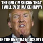 donnie trump | THE ONLY MEXICAN THAT I WILL EVER MAKE HAPPY; WILL BE THE ONE THAT DIGS MY GRAVE | image tagged in donnie trump | made w/ Imgflip meme maker