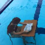 Pool studying