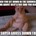 Chester The Cat | WHEN YOU SIT DOWN IN THE SHOWER TO THINK ABOUT DEEP STUFF AND YOU REALIZE ITS SUPER GROSS DOWN THERE | image tagged in memes,chester the cat | made w/ Imgflip meme maker