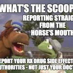kermit report | WHAT'S THE SCOOP? REPORTING STRAIGHT FROM THE HORSE'S MOUTH; REPORT YOUR RX DRUG SIDE EFFECTS TO AUTHORITIES - NOT JUST YOUR DOCTORS | image tagged in kermit report | made w/ Imgflip meme maker