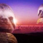 Sloth Knowledge is power meme