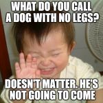 Laughing baby | WHAT DO YOU CALL A DOG WITH NO LEGS? DOESN'T MATTER. HE'S NOT GOING TO COME | image tagged in laughing baby | made w/ Imgflip meme maker