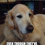 Overly critical dog | SOME PEOPLE ARE SAD ABOUT GENE WILDER'S DEATH; EVEN THOUGH THEY'VE NEVER SEEN WILLY WONKA AND THE CHOCOLATE FACTORY | image tagged in overly critical dog | made w/ Imgflip meme maker