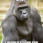 Harambe | IF I WAS STILL ALIVE... I WOULD STAND FOR OUR NATIONAL ANTHEM | image tagged in harambe | made w/ Imgflip meme maker