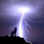 lightening wolf