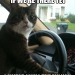 JoJo The Driving Cat | IF YOU ASK ME ONE MORE TIME IF WE'RE THERE YET; I SWEAR I WILL THROW YOU OVER THE NEXT FENCE THAT HAS A BEWARE OF DOG SIGN! | image tagged in jojo the driving cat,are we there yet,ask me again and you're dog food,or a chew toy,my templates challenge | made w/ Imgflip meme maker
