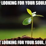 Soulmate, 2016 | STOP LOOKING FOR YOUR SOULMATE. START LOOKING FOR YOUR SOUL, MATE. | image tagged in inspirational,happiness,soulmates,zen,family,seedling 2016 | made w/ Imgflip meme maker