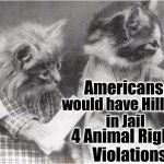 CATS CASTING VOTES | if CATS votes were NOT CAST; would have Hillary in Jail; Americans; 4 Animal Rights Violations | image tagged in cats casting votes | made w/ Imgflip meme maker