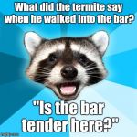 They will only eat tender wood | What did the termite say when he walked into the bar? "Is the bar tender here?" | image tagged in joke racoon,memes,trhtimmy | made w/ Imgflip meme maker