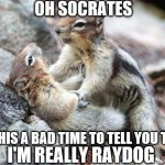 Surely Sara Squirrely  | OH SOCRATES; IS THIS A BAD TIME TO TELL YOU THAT; I'M REALLY RAYDOG | image tagged in sara squirrel,socrates,raydog,funny meme,comedy,memes | made w/ Imgflip meme maker