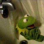kermit crying terrified in shower meme