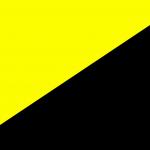 ancap flag