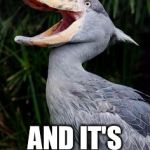 Laughing Stork | WHEN YOU'RE THE LAUGHING STORK; AND IT'S PUNNY !! | image tagged in laughing stork,puns,funny,hahaha | made w/ Imgflip meme maker