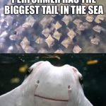 Sting Rays | OUR FAVORITE FEMALE PERFORMER HAS THE BIGGEST TAIL IN THE SEA; WHIPPY MINAJ | image tagged in sting rays,memes,nikki minaj | made w/ Imgflip meme maker