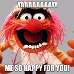 animal muppets | YAAAAAAAAY! ME SO HAPPY FOR YOU! | image tagged in animal muppets | made w/ Imgflip meme maker
